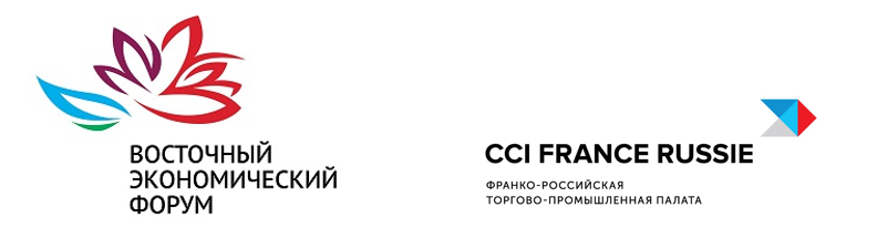 Франко российский. Франко-Российская торгово-Промышленная палата CCI France Russie. Франко-Российская торгово-Промышленная палата логотип. Франкоросмийская торгово Промышленная палата. CCI France Russie лого.